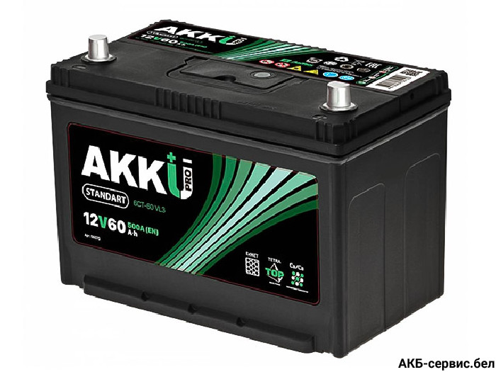 Akku Standart 115D31R 115Ah