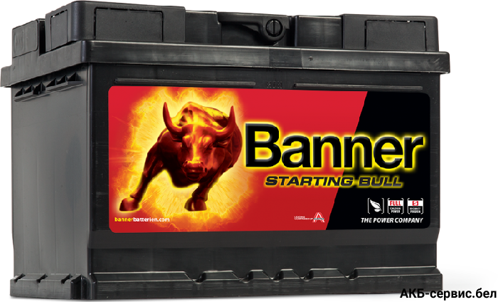 Banner Starting Bull 560 09