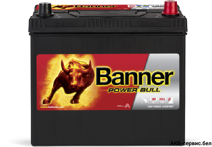 Banner Power Bull P45 23