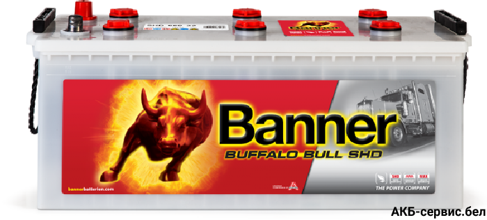 Banner Buffalo Bull SHD SHD 680 32
