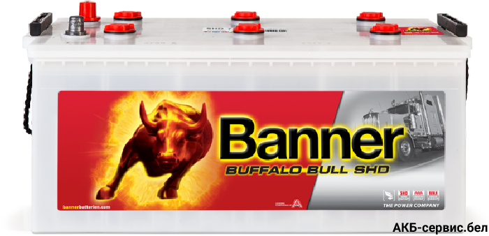 Banner Buffalo Bull SHD SHD 725 11
