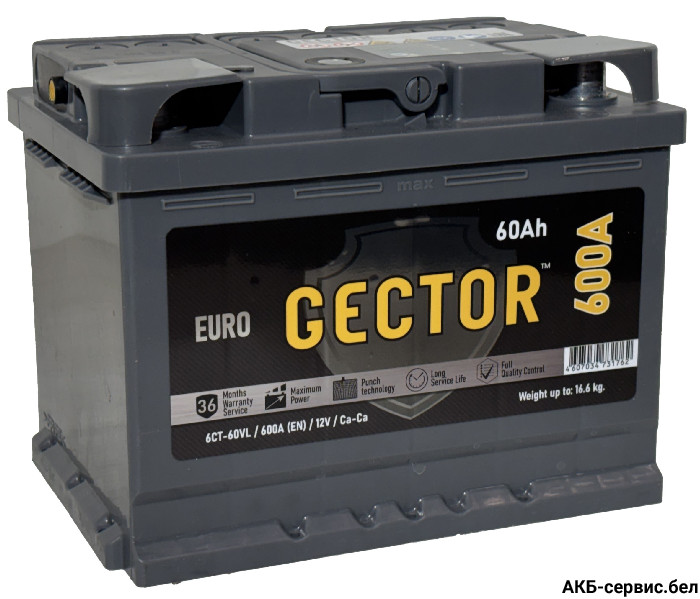 Gector 60 R