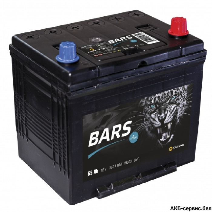 Bars Asia 6СТ-65 Е