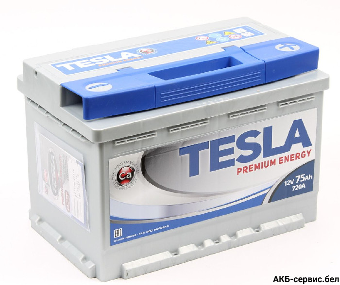 Tesla Premium Energy 75 R