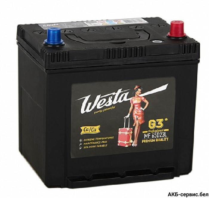 Веста премиум 6CT-60 Asia