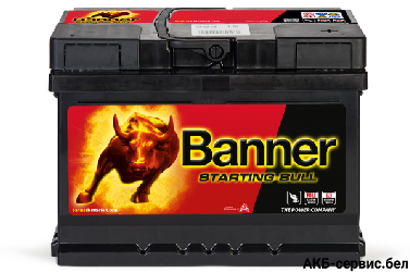 Banner Starting Bull 555 19