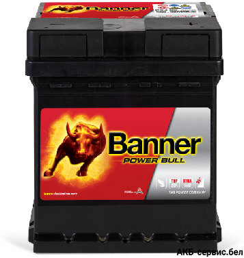 Banner Power Bull P42 08