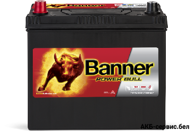Banner Power Bull P45 24
