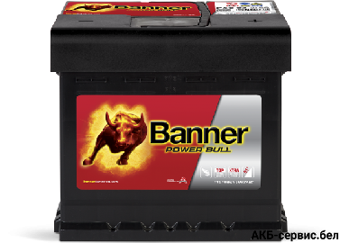 Banner Power Bull P50 03