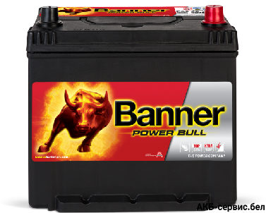 Banner Power Bull P60 62