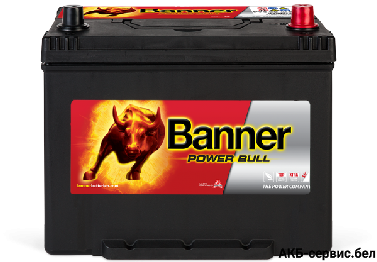 Banner Power Bull P70 29