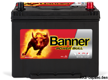 Banner Power Bull P80 09