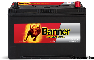 Banner Power Bull P95 04