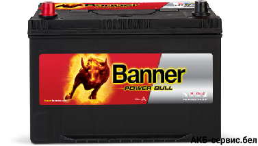 Banner Power Bull P95 05
