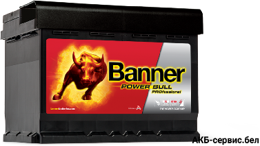 Banner Power Bull PROfessional PRO P63 42