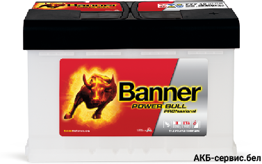 Banner Power Bull PROfessional PRO P77 40