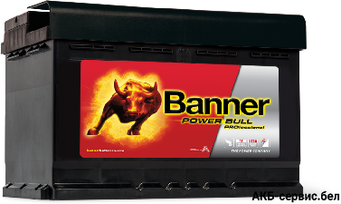 Banner Power Bull PROfessional PRO P77 42