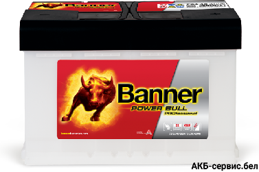 Banner Power Bull PROfessional PRO P84 40