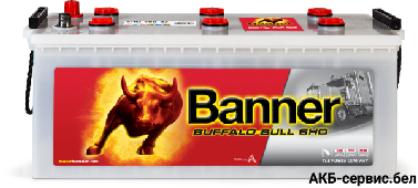 Banner Buffalo Bull SHD SHD 680 32