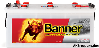 Banner Buffalo Bull SHD SHD 725 11