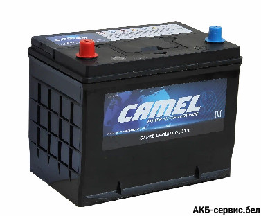 Camel Asia 105D26R 81Ah