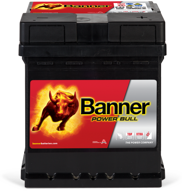 Banner Power Bull P42 08