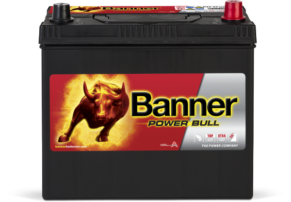 Banner Power Bull P45 23