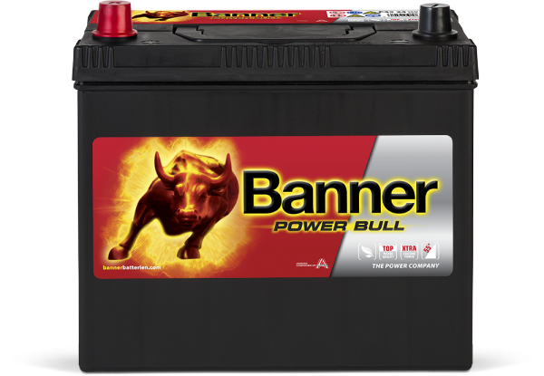 Banner Power Bull P45 24