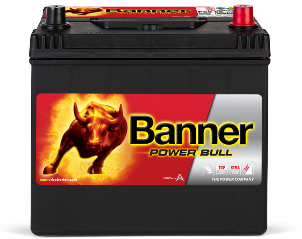 Banner Power Bull P60 68
