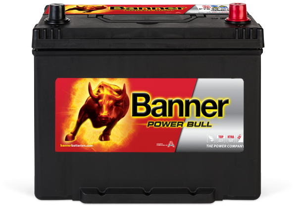 Banner Power Bull P70 29
