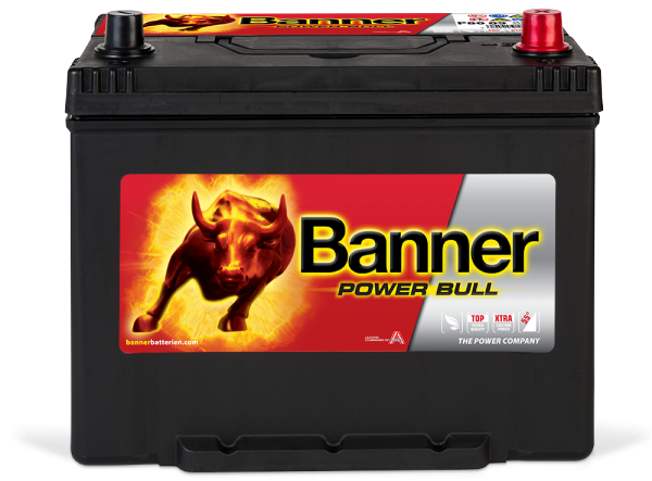 Banner Power Bull P80 09