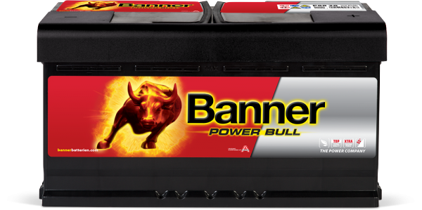Banner Power Bull P88 20