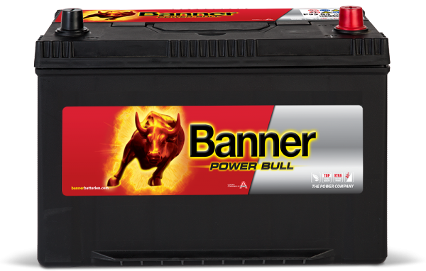 Banner Power Bull P95 04