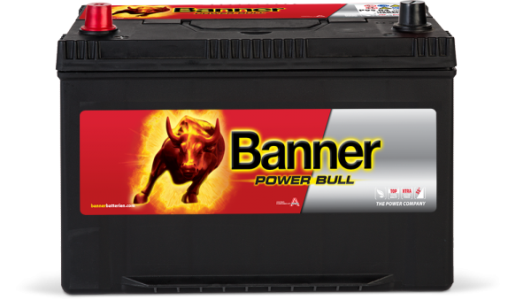 Banner Power Bull P95 05