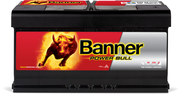 Banner Power Bull P95 33