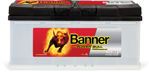 Banner Power Bull PROfessional PRO P100 40