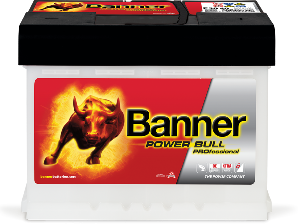 Banner Power Bull PROfessional PRO P50 40