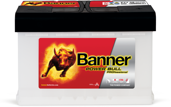 Banner Power Bull PROfessional PRO P77 40
