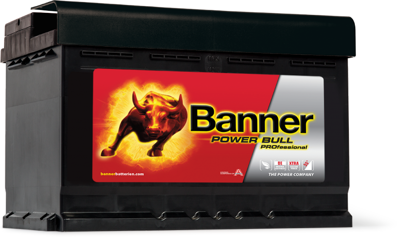 Banner Power Bull PROfessional PRO P77 42