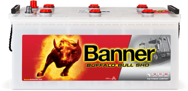 Banner Buffalo Bull SHD SHD 725 11