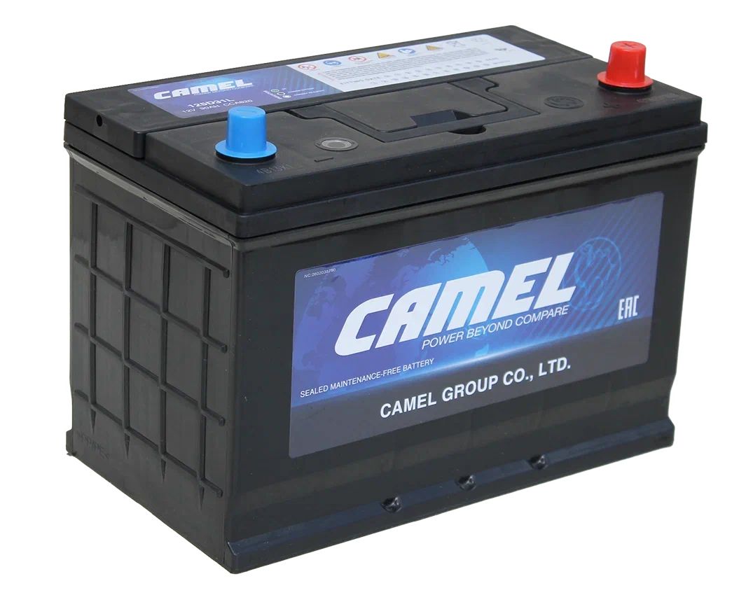 Camel Asia 125D31L 90Ah euro
