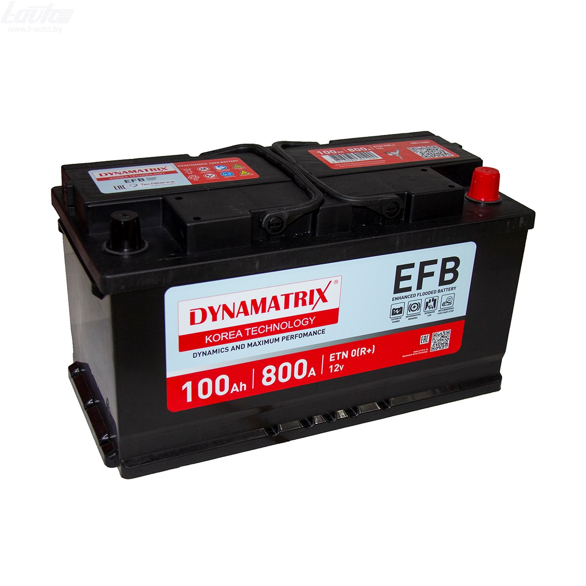 Dynamatrix EFB DEL1000