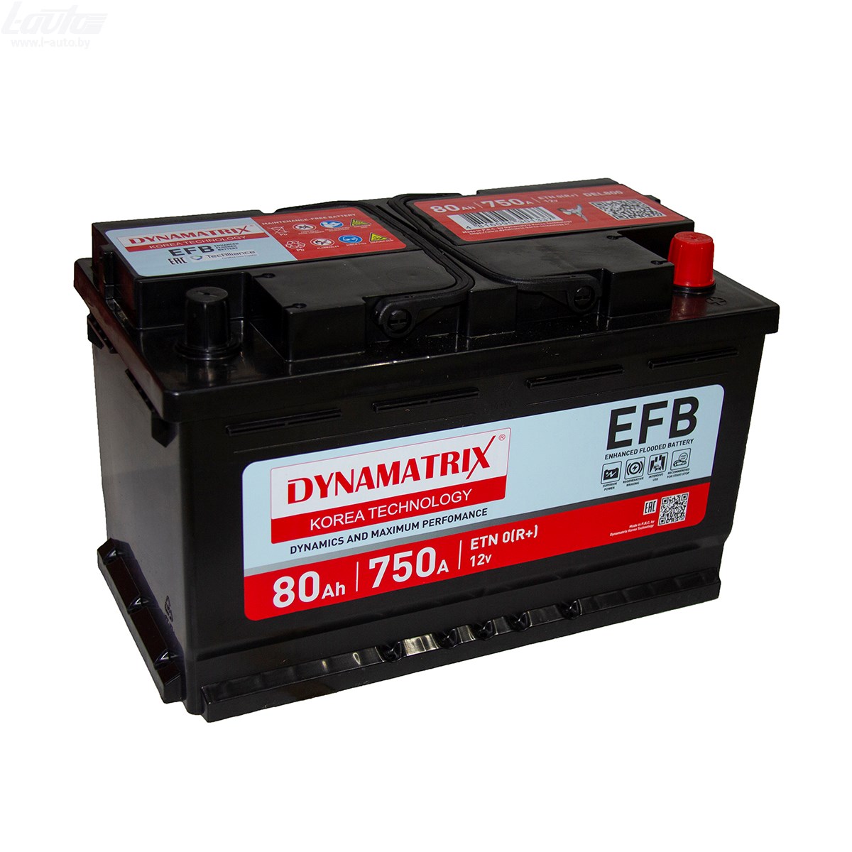 Dynamatrix EFB DEL800