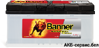 Banner Power Bull PROfessional PRO P100 40