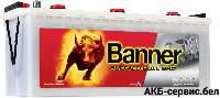 Banner Buffalo Bull SHD 640 35