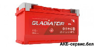 Gladiator EFB 110 R