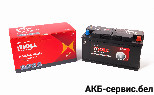 MOLL AGM 6-QTF-92Ah 850A