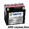 VARTA Powersports AGM 507902